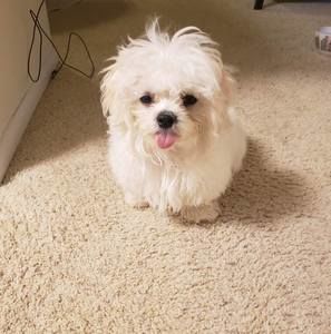 Meet your Posher, Youlee